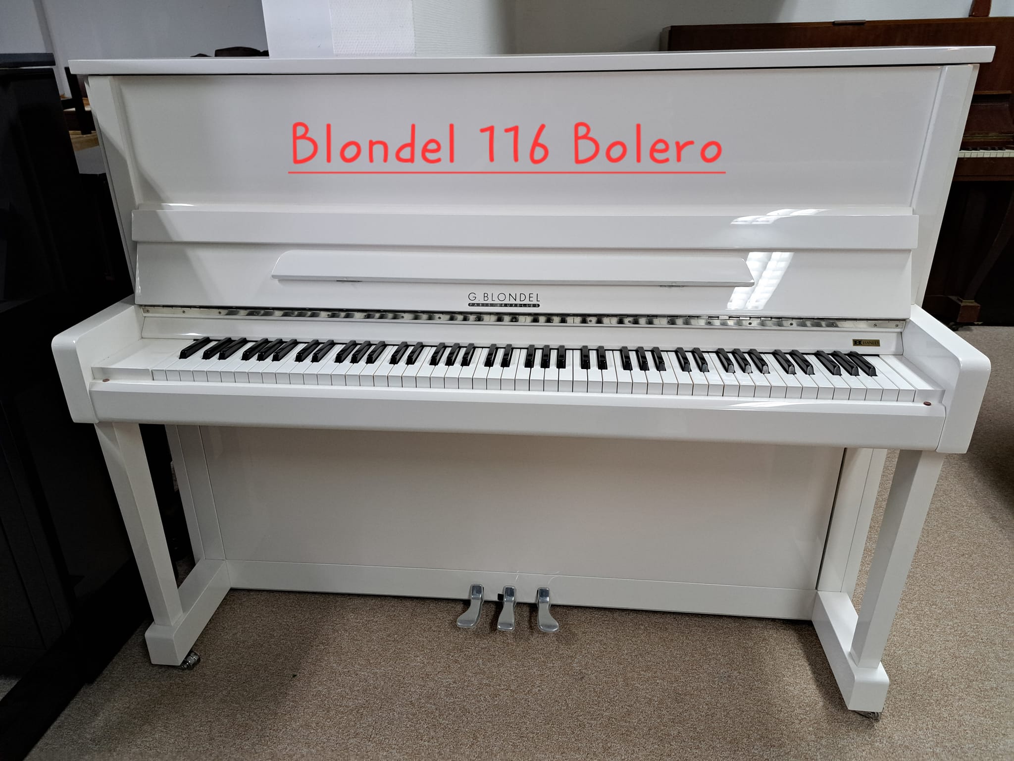 IMG BRP Vente/Blondel 116